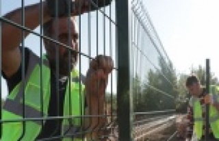 Sokak Hayvanları Bakım Evi Projesi hızla ilerliyor