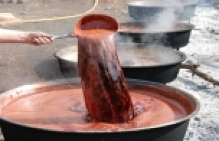 Toroslardan toplanıyor sadece pekmez olarak tüketiliyor