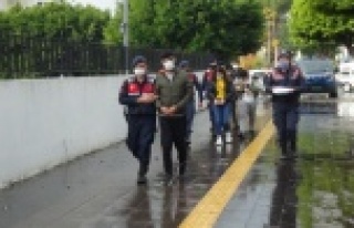 Turistlere uyuşturucu satan 4 şüpheli yakalandı