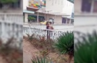 Üst geçide çıkıp ‘ölmek istiyorum’ dedi,...