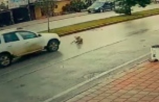 Vicdansız sürücü köpeğe çarpıp arkasına bile...