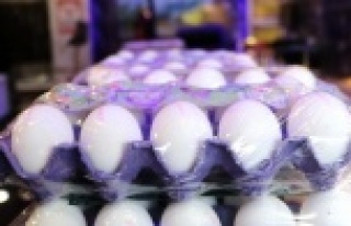 Yumurta 'altın' oldu