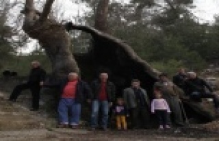 700 Yıldır ayakta kalmayı başardı