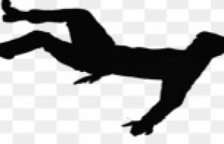 Alanya'da ağaçtan düşen adam ağır yaralandı