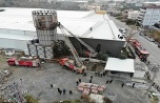 Alanya'da Orman ürünleri fabrikasında yangın...