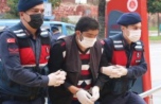 Alanya'daki aile kavgası cinayetinde flaş gelişme