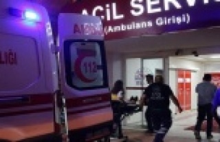 Alanya’da zeytin ağacından düşen genç yaralandı