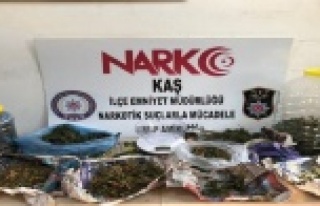 Antalya'da 1 buçuk milyon TL’lik makaron ele...