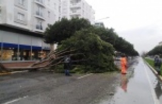 Antalya'da ekiplerin fırtına ve yağmur seferberliği