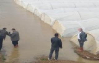 Antalya'da taşan dere ekili alanları su altında...