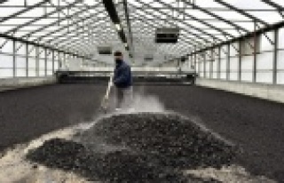 Atığı enerjiye dönüştüren inovasyon doğayı...