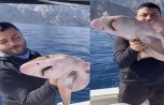 Balıkçıların oltasına 1,5 metrelik köpek balığı...