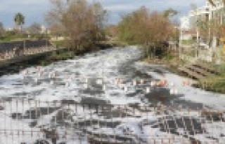 Binlerce balığın ölümüyle ilgili 4 tesise ceza