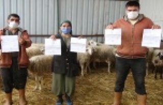 Bir anlık dikkatsizlikleri 15 bin liraya mal oldu