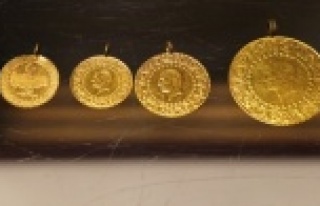 Çeyrek altın 733 lira oldu