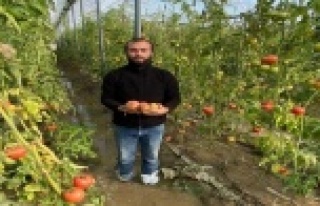 Çiftçi fırtına sonrası yaralarını sarıyor