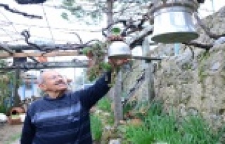 Emekli öğretmenin geri dönüşüm saksıları