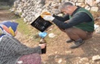 Her derde şifa katran yağı yok satıyor