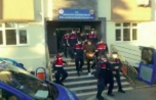 İş ve bol para vaadiyle kandırdıkları kadınları...