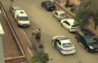 Kumanyalarını devriye gezerken gördükleri kağıt...