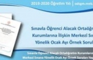 MEB, LGS kapsamında yapılacak ocak ayı örnek soru...