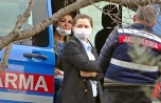 Melek İpek davasında emsal kararlar örnek gösterilip...