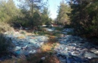 Ormanlık alanı çöplüğe çevirdiler