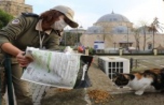 Polis ekipleri sokak hayvanları için günde 50 kilo...