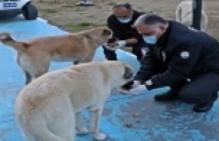 Polislerin 'Merhamet' devriyesi