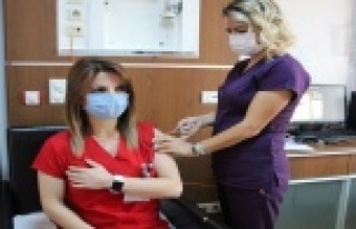 Prof.Dr.Turhan: "Korona virüs aşısı grip...