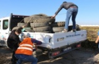 Sinek yuvası lastikler geri dönüşüme kazandırılıyor