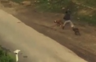 Sokak ortasında vicdanları sızlatan görüntüler