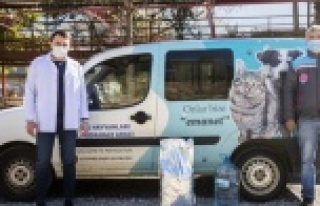 Alanya Belediyesi sokak hayvanlarının yanında