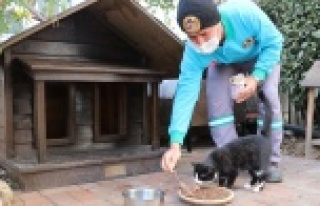 Alanya'da can dostlarımıza beslenme desteği