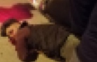 Alanya'da feci kaza: 1 ağır yaralı var