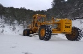 Alanya'da kardan kapanan yollar açılıyor