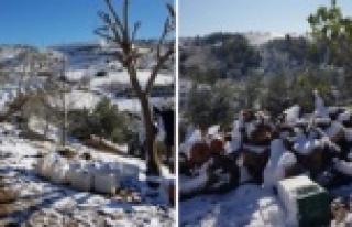 Alanya güne bu kar manzarasıyla uyandı