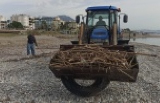 Alanya sahilleri sezona hazırlanıyor
