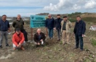 “Alanya Türk Ocağı Kaygusuz Abdal Hatıra Ormanı”