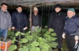 Alanya’da MHP’liler üreticilerle don nöbeti...