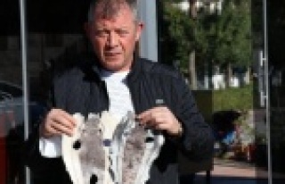 Alanyalı balıkçıları canından bezdirmişti!...