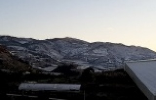 Alanya’nın kırsalı beyaza büründü