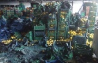 Antalya'daki yangında 350 ton sebze küle döndü,...