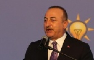 Bakan Çavuşoğlu: "Türkiye de kendi raporlarını...