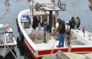 Balıkçıların korkulu rüyası 10 yıl sonra geri...