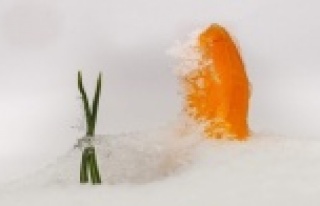 Bu çiçeği koparmanın cezası 80 bin lira oldu