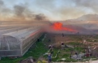 Büyükşehir, yangında serası zarar gören üreticiye...