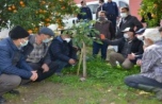 Büyükşehirden Alanyalı çiftçilere uygulamalı...