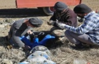 Büyükşehir’den üreticiye hidrant desteği