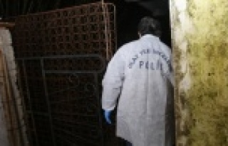 Çalılıkların arasında insan kafatası bulundu